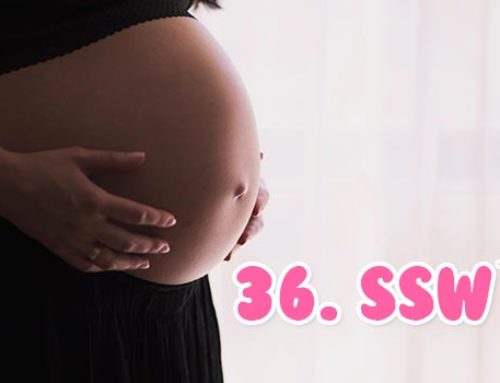 36. SSW (36. Schwangerschaftswoche)