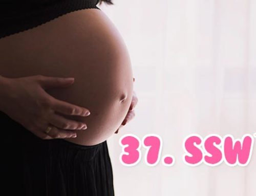 37. SSW (37. Schwangerschaftswoche)